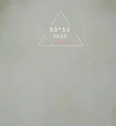 Autre Dalle de sole 50*50